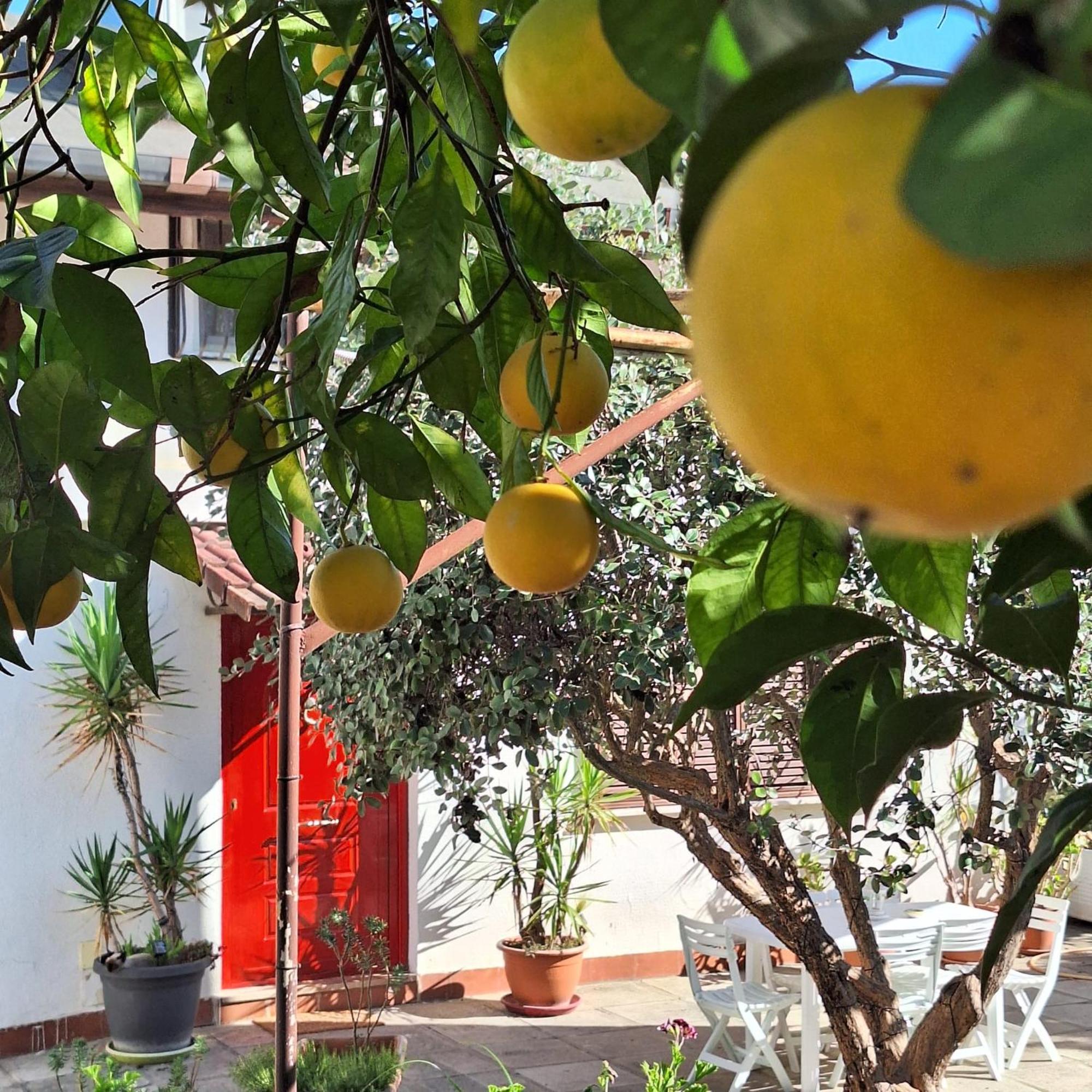 Bed and breakfast Giallo Limone Salerno